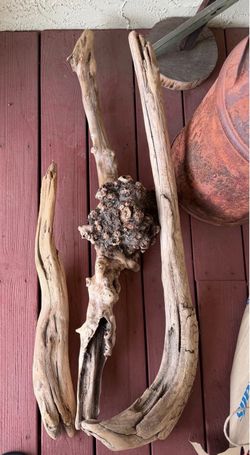 Driftwood