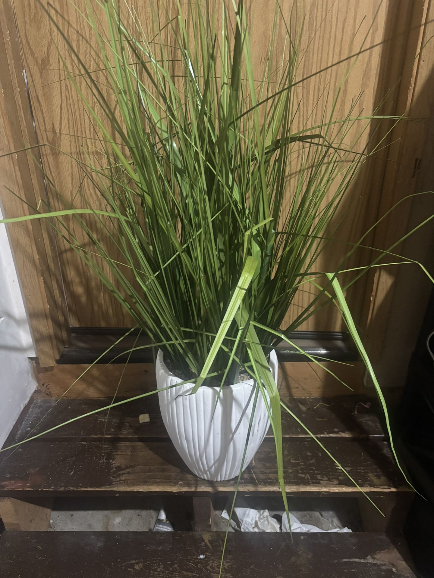 Fake Plant