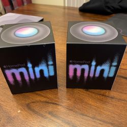 Pair of HomePod Minis