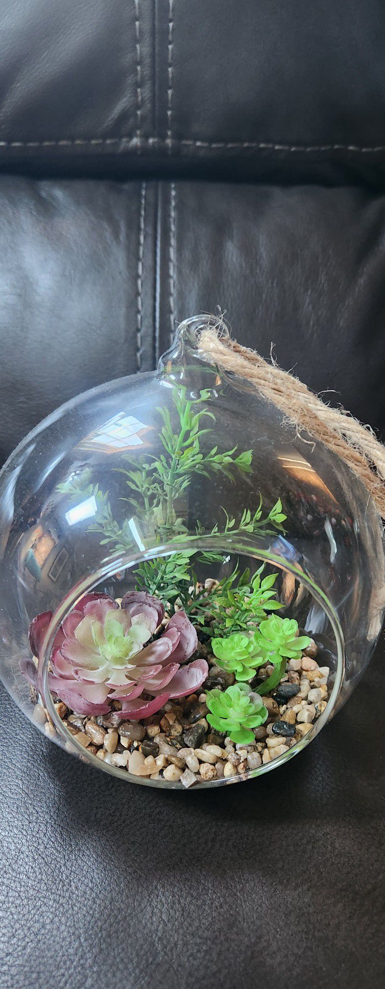 Succulent Apothecary Hanging Glass Decor New