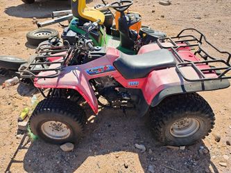 Kawasaki differential 300