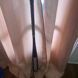 Marucci Bat 