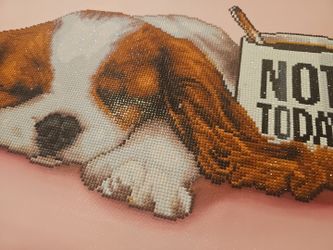 Finished diamond art painting.