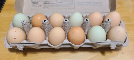 Fresh Farm Eggs 