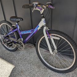 Trek 220 24" 21-Speed Gravel/Mountain/Road Hybrid Bike - Light 12" Frame - NEW Tubes/Newer Tires - Tuned! (Youth/Kids Bike)