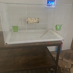 Bird Cage
