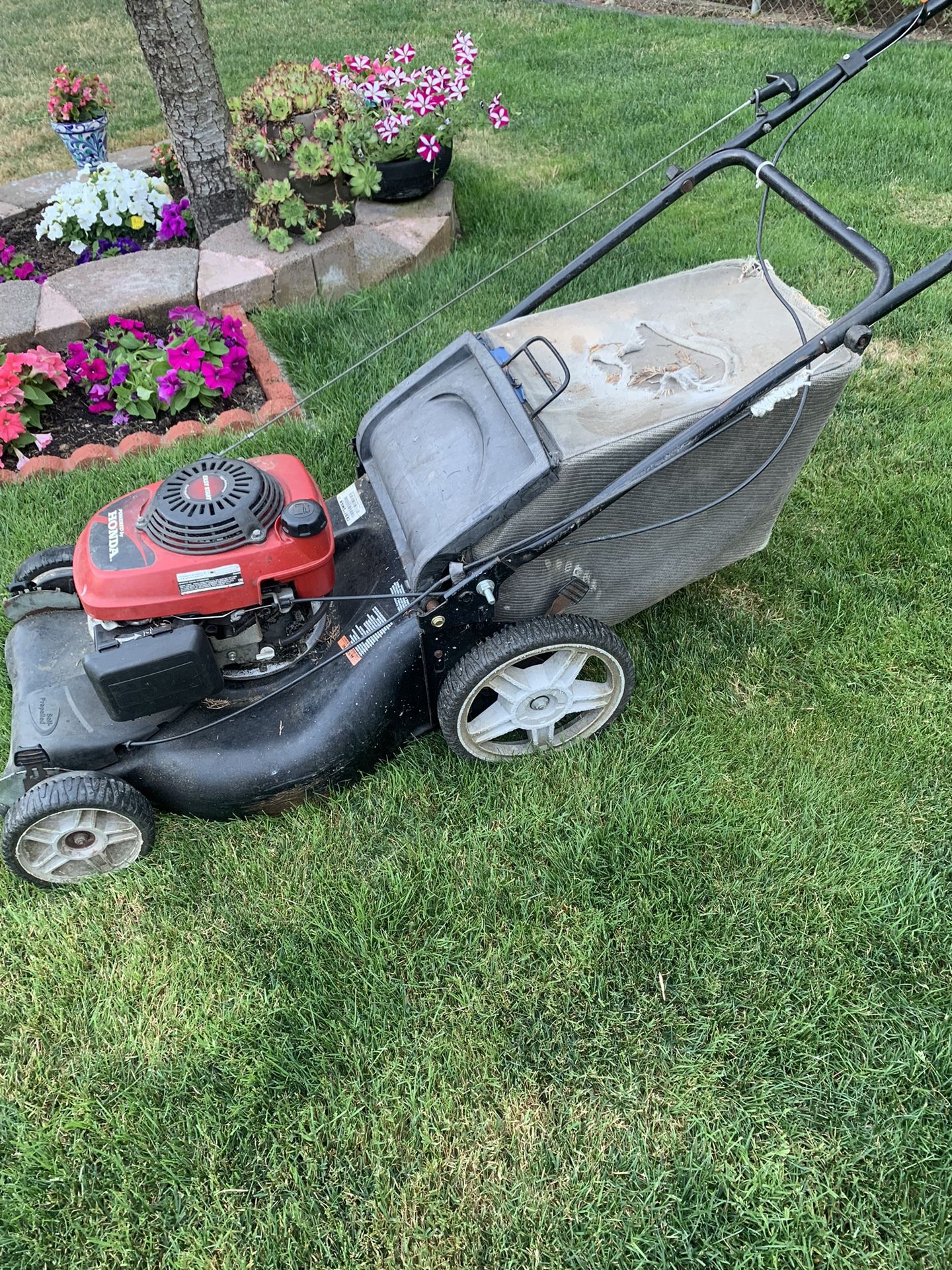 Self Propelled Honda lawn Mower $50