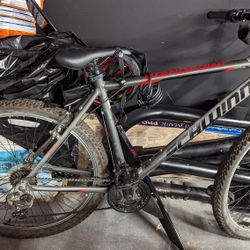Mountain Bike