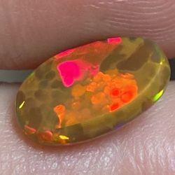 Collector’s Opal Welo