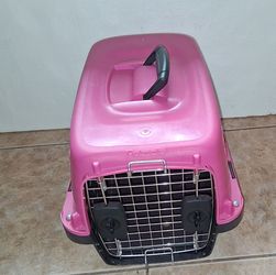 Pink pet taxi-19 in long