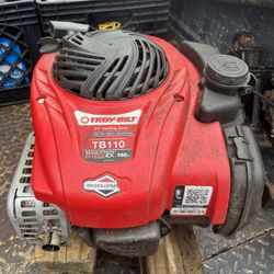 Lawn Mower Engine 