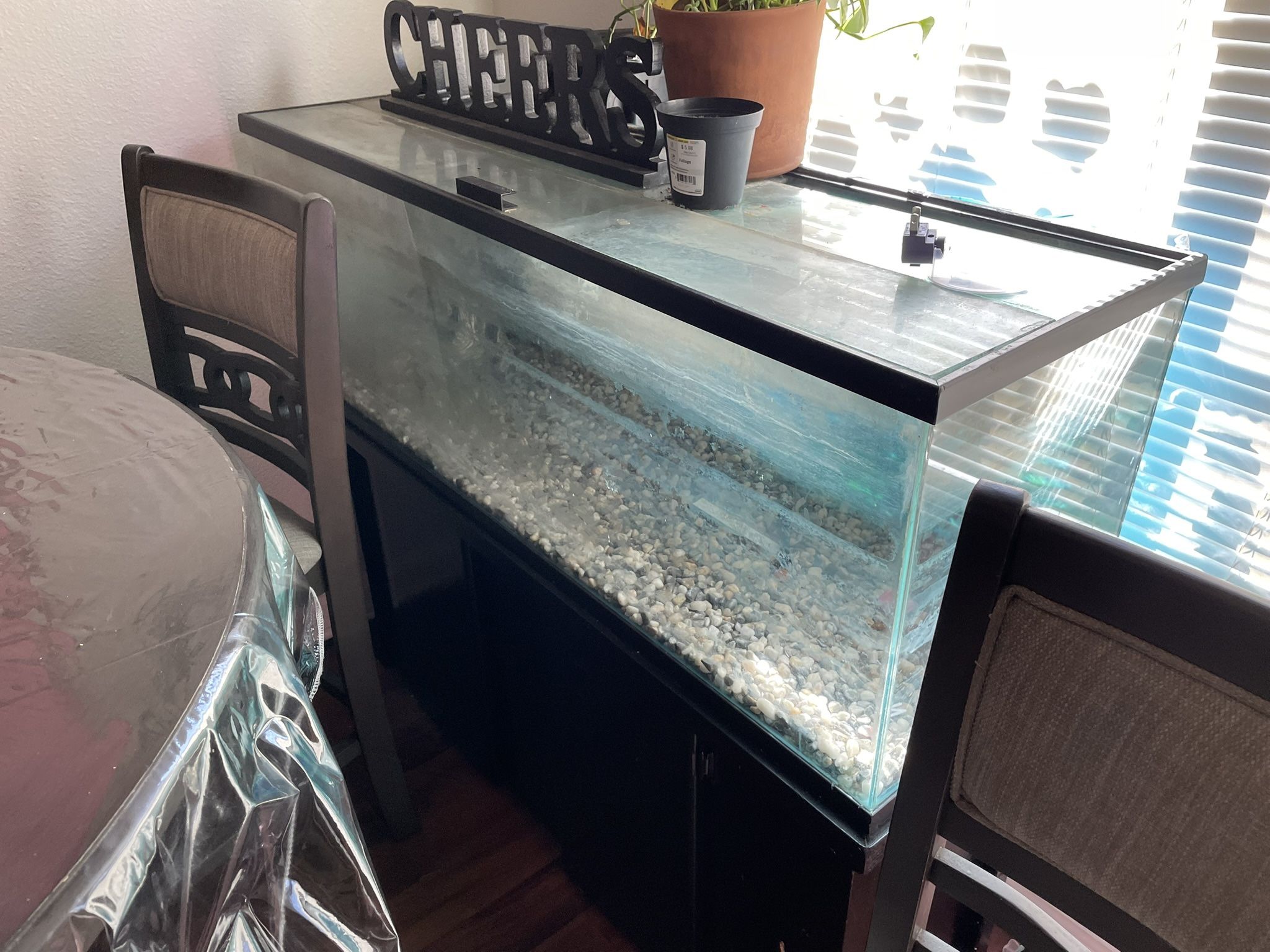 55 Gal Tank With Stand