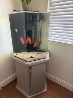 55 gallon tank