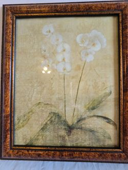 Picture framed art new 12x10 inch