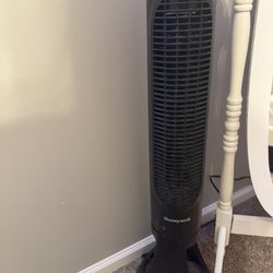 Fan