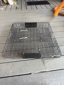 Squirrelinator squirrel trap