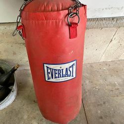 Everlast Punch Bag 