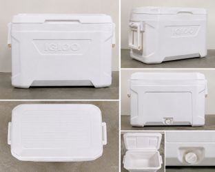 Igloo 50 Quart Cooler – NEW