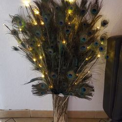 Peacock Feather Arrangement