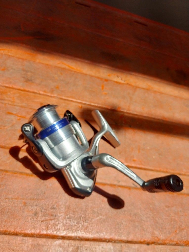 Daiwa Fishing Reel Brand New