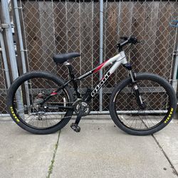 2004 Giant Rainier Mountain Bike