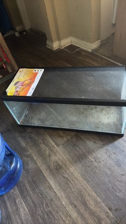 20 gallon tank