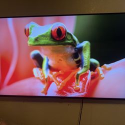 LG 55" NanoCell 90 Series - 4K 120Hz (HDMI 2.1) Price: $450