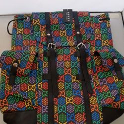 Multi Gucci Back Pack