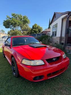 2000 Ford Mustang