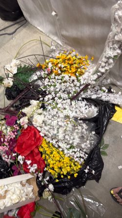 Flowers 🌺