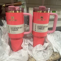 Stanley The Quencher H2.0 Flowstate 40oz Tumbler - Pink Dust for Sale in  Corpus Christi, TX - OfferUp