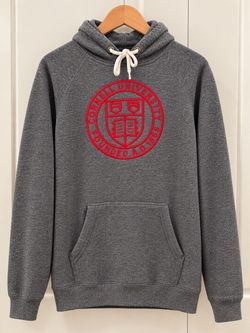 ❤️ Cornell University Vintage-Style Hoodie | Gray & Red | Size XL 🩶