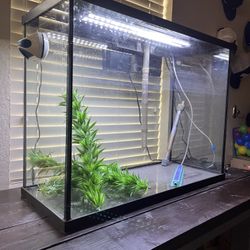 Fish Tank & Stand Table