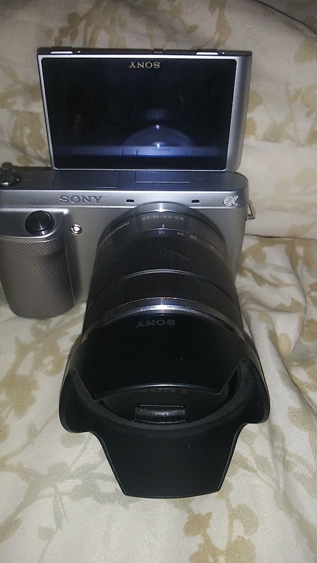 Sony Alpha NEX-F3 16.1MP Digital Camera - silver(Kit w/ 18-55mm Lens)