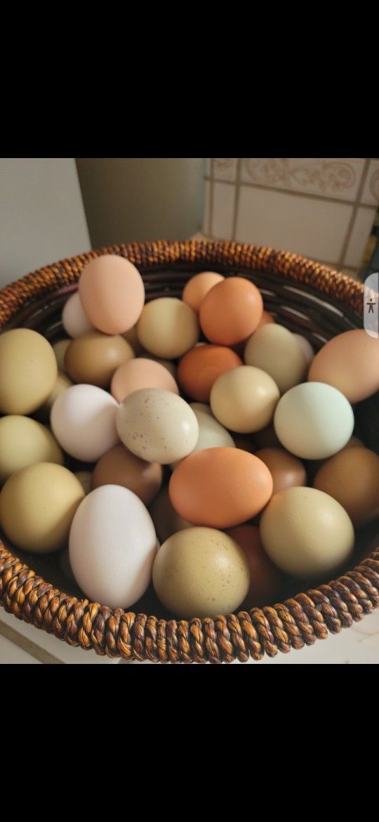 Eggs!!