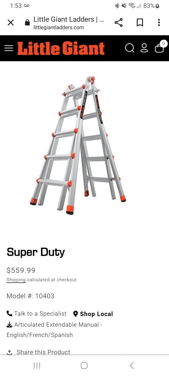 Little Giant Ladder