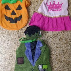 Dog Costumes