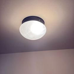 Frosted Glass Ceiling Light Fixture With All Hardware