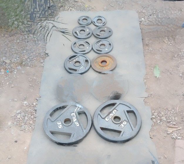 Olympic Weights 115lbs