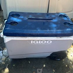 Large Igloo cooler max cold 90qt
