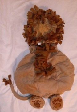 Baby Lion Halloween Costume