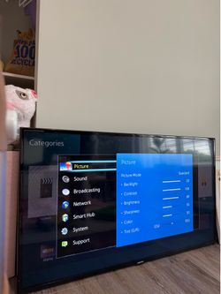 Samsung 55in Smart TV