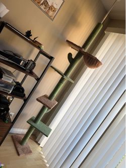 Cat Tower Floor to Ceiling