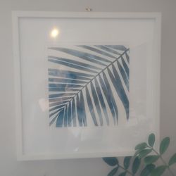 Pacific Palm