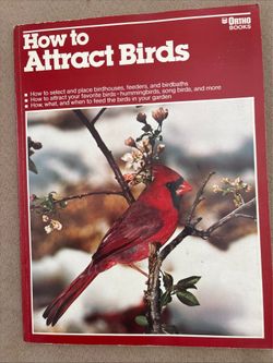 “How to attract birds”