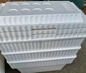Styrofoam Cooler with Lid