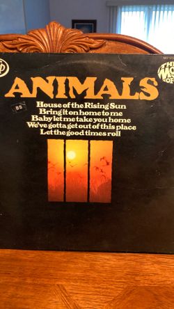 Animals  The Most Of