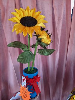 Girasole Eterno.