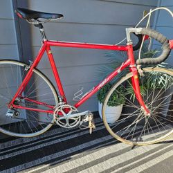 Classic Specialized Allez Road Bike. Steel. 56cm