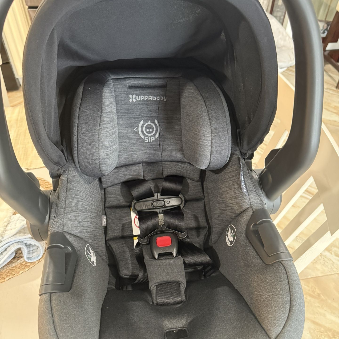 uppababy cruz piggyback ebay Ride-Along Board Graco - Travel System LEADERS Option:GLX 822S DSR | 6'10